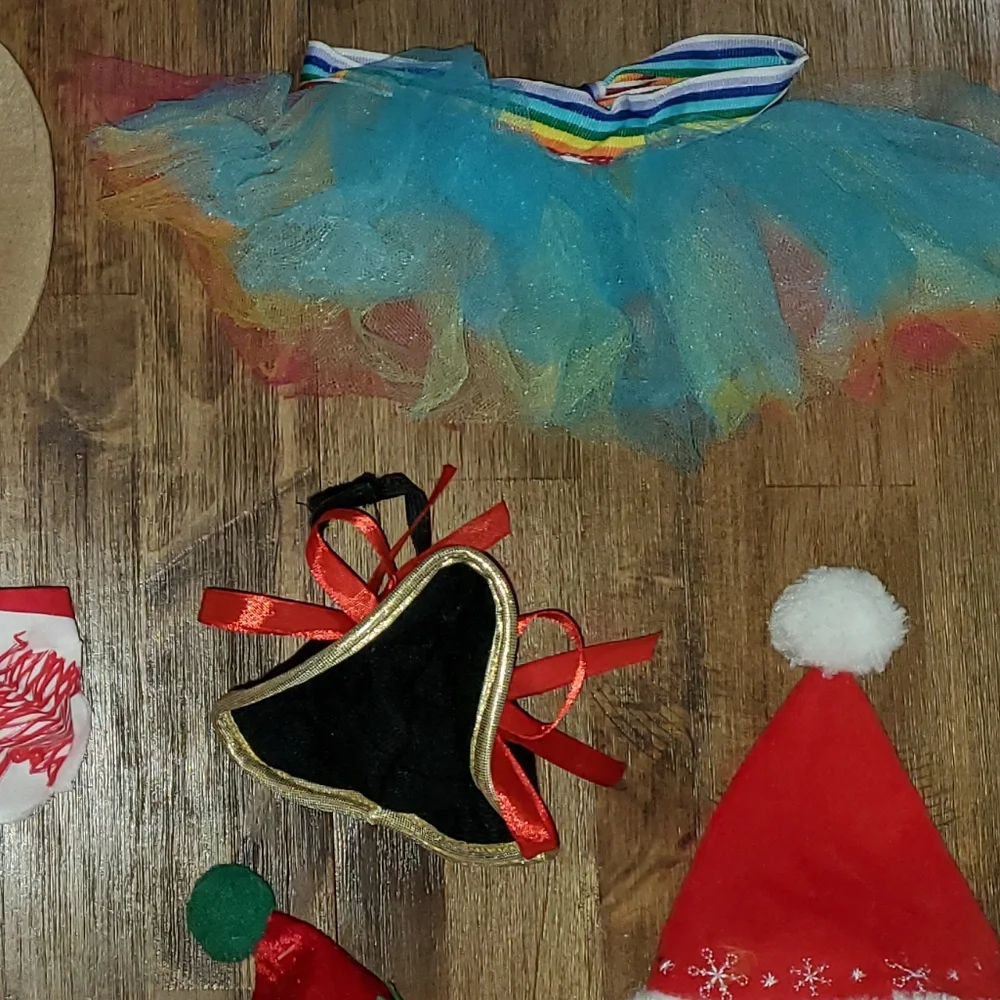 10 Piece Cat / Small Dog Christmas / Halloween Costume Bundle
